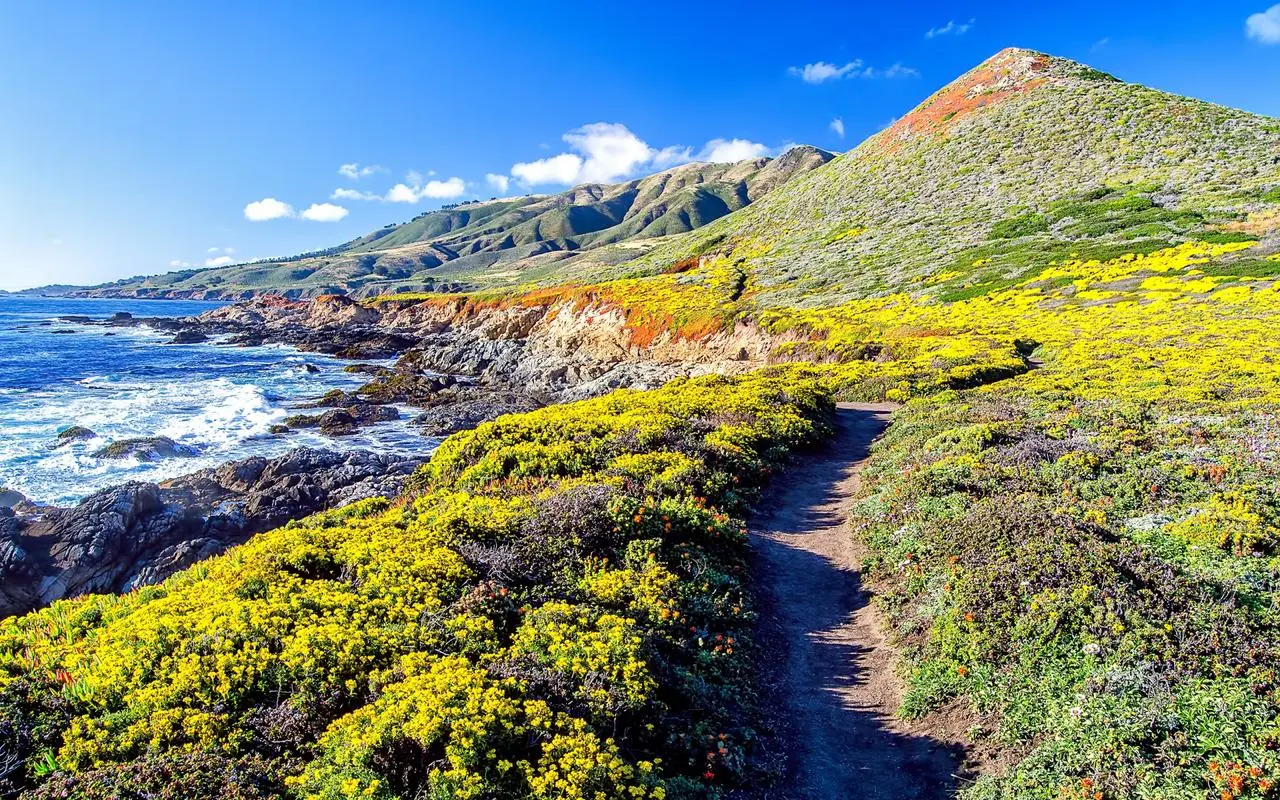 高性能先进工业